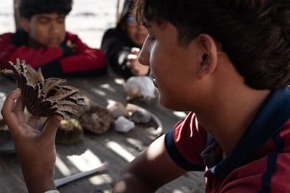 SOLO USAR PARA EL TEMA:
Un laboratorio natural en medio del desértico Perú para proteger a los animales de El Niño y la gripe aviar