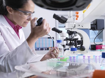 Una investigadora trabaja en un laboratorio.