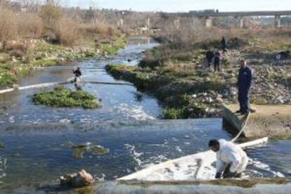 Técnicos de Repsol Química continuan con las labores de limpieza del cauce del río Francolí tras unl vertido en la planta de Repsol Química en El Morell (Tarragona). EFE/Archivo