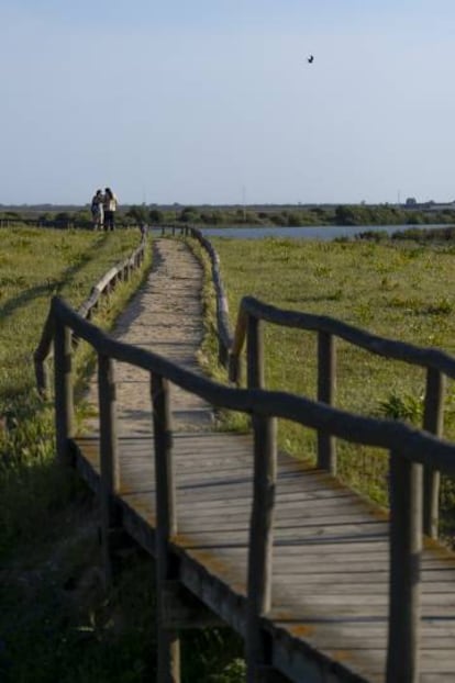 Una de las pasarelas en la laguna de la Dehesa de Abajo (Sevilla).