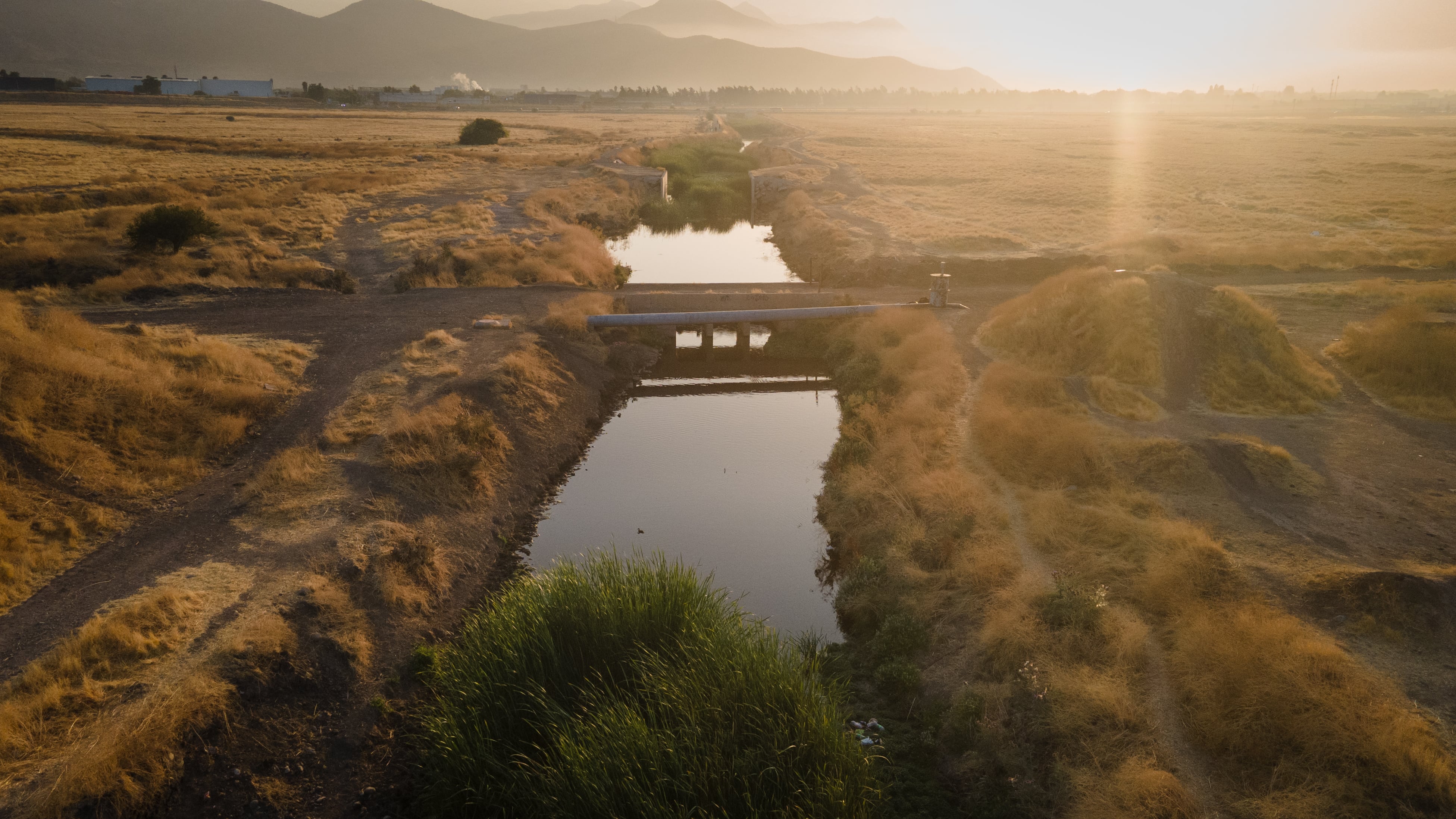 El Estero Las Cruces en el humedal de Quilicura.