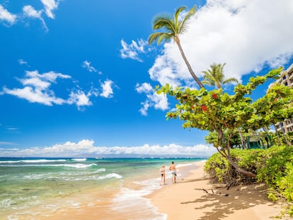 Kaanapali Beach (Maui, Hawai, EE UU). En la isla hawaiana de Maui tienen sus residencias algunos de los personajes más famosos de Estados Unidos, como la presentadora Oprah Winfrey o el actor y director Clint Eastwood. Cerca de la ciudad de Lahaina está Kaanapali Beach, su principal destino turístico, base para explorar el parque nacional del volcán Halekala, que ocupa el 75% de la superficie de la isla. 
