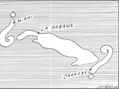 MÁXIMO