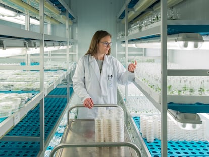 Laboratorio de biología celular de Bayer en Almería.