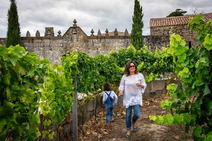 Pilar Higuero entre sus viñas del pazo de Sabariz (Ourense). Desde 2009 Pilar elabora en esta zona a orillas del Ribeiro un vino salvaje que huele a hinojo y anís.