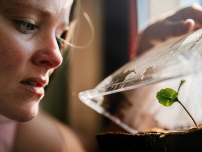 Una mujer observa el crecimiento de sus plantas. En los primeros momentos, una nueva planta o un huerto hace mucha la ilusión, pero rápidamente suelen surgir las dudas y los problemas.