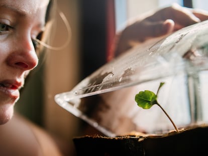 Una mujer observa el crecimiento de sus plantas. En los primeros momentos, una nueva planta o un huerto hace mucha la ilusión, pero rápidamente suelen surgir las dudas y los problemas.