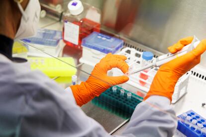 Una imagen de un laboratorio de la farmacéutica Bavarian Nordic, cerca de Munich, Alemania