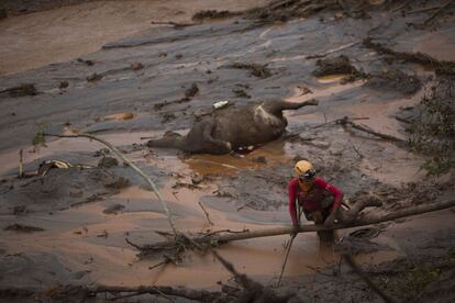 Cenário de destruição depois do rompimento da barragem