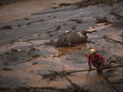 Cen&aacute;rio de destrui&ccedil;&atilde;o depois do rompimento da barragem