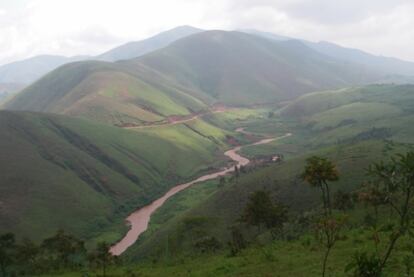Plantaciones de quinina en la frontera de Ruanda y el Congo.