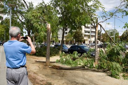 Árboles derribados por los fuertes vientos en el barrio de Balafia en Lleida.