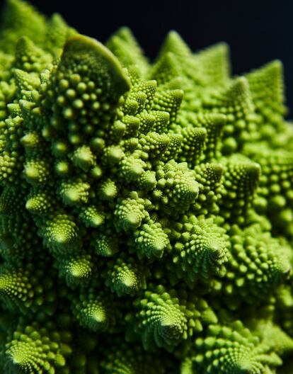 Romanesco, una obra de arte. Es también conocida como coliflor romana, dado que a Europa llegó en el siglo XIX a través de Italia (se cree que procedente de Asia). De color verde lima intenso, destaca por su belleza. Una obra de arte esculpida por la naturaleza. De geometría fractal, pura estética. Admite todo tipo de elaboraciones: al vapor, encurtida, fermentada, cocida, frita o asada.