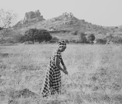 Una curandera tradicional, en el campo detrás de su casa donde recolecta las plantas que utiliza para sanar sus pacientes. Aunque no hay ninguna prueba científica que avale sus tratamientos, muchas personas prefiere acudir a los curanderos tradicionales hasta para las enfermedades mas graves. El tratamiento generalmente consiste en la combinación de rituales, medicamentos y oraciones.