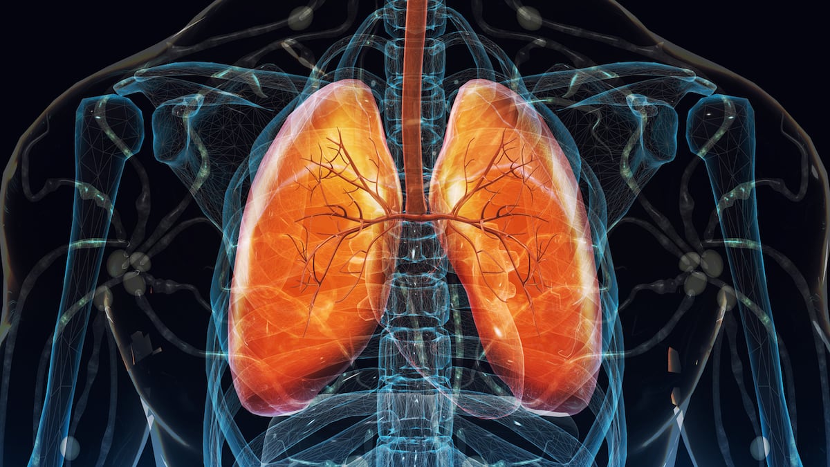 Immunotherapy rejuvenates the lungs and shows a new way to eliminate aged cells