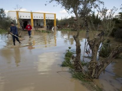 Una de las casas anegadas por las inundaciones en Isla del Vicario (&Eacute;cija). 