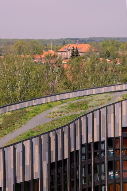 Camp Lyngby, residencia estudiantil cerca de la capital con un tejado verde masivo.