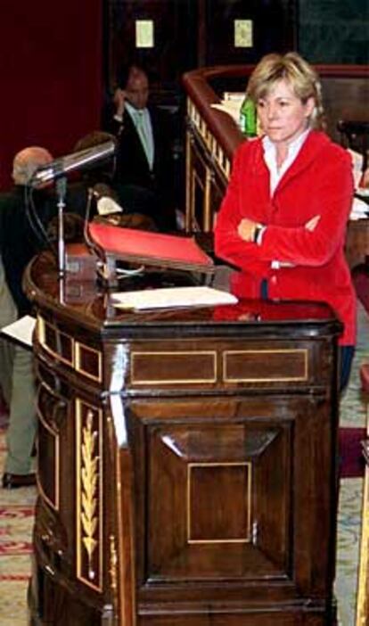 Pilar del Castillo durante su intevencin de ayer en el Congreso de los diputados.