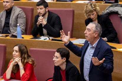 El portavoz parlamentario de Compromís, Joan Baldoví, durante su intervención en el pleno.