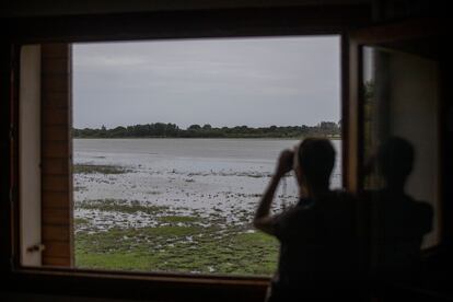 Laguna de Doñana vista desde el centro ornitológico Francisco Bernis, en El Rocío, Almonte (Huelva), hace un mes. 