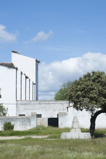 Fuente, encinas e iglesia de Vegaviana. |