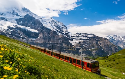 Grindelwald es un lugar impresionante de los Alpes Berneses para disfrutar de la fascinante panorámica de las crestas del Eiger (el Ogro), el Jungfrau (la Doncella) y el Mönch (el Monje) desde los muchos miradores que hay en la localidad suiza. Todo parece el decorado de una película: la cincelada cara norte del Eiger, las centelleantes lenguas de los glaciares de Oberer y Unterer y la cumbre Wetterhorn impresionan y emocionan a cualquier recién llegado. Grindelwald es también una de las estaciones de esquí y senderismo más antiguas de Suiza y no ha perdido su atractivo: chalés alpinos rebosantes de geranios y verdes pastos sobre un fondo montañoso son dignos de un Oscar.
También está la posibilidad de acercarse con el tren cremallera de la Jungfrau, que conecta el puerto de Kleiner Scheidegg con la cumbre del Jungfraujoch, a 3.454 metros de altura (la estación ferroviaria más alta de Europa). 