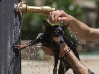 Las temperaturas vuelven a subir dos grados en el Mediterráneo y en Andalucía y de uno a dos en Navarra y La Rioja