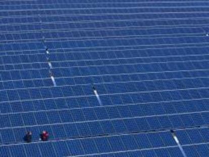 Dos personas trabajan en unos paneles solares. EFE/Archivo