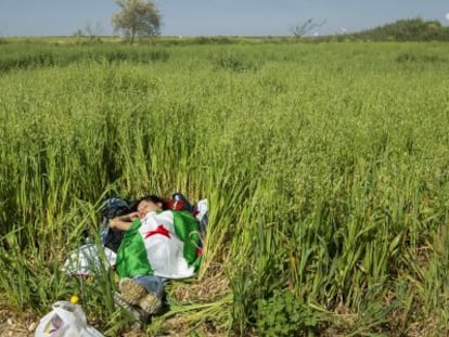 Una jornalera descansa a las puertas de Las Turquillas, en Osuna (Sevilla).