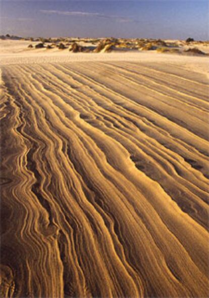 Dunas en el parque nacional de Doñana.