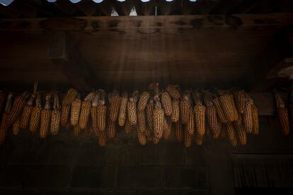 El maíz es el alimento principal en las aldeas guatemaltecas.