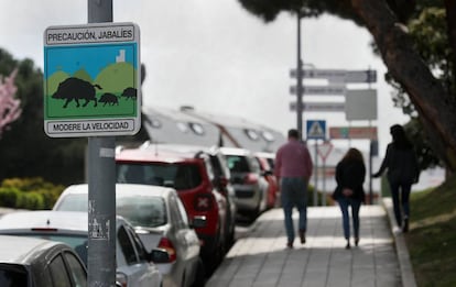 Se&ntilde;ales de aviso de jabal&iacute;es en Torrelodones. 