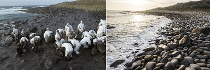 On the left, a group of volunteers from the Alcalá de Henares paratrooper brigade are busy cleaning up Cape Touriñán, outside of Muxía on December 27, 2002. Today, the same beach is completely clean.