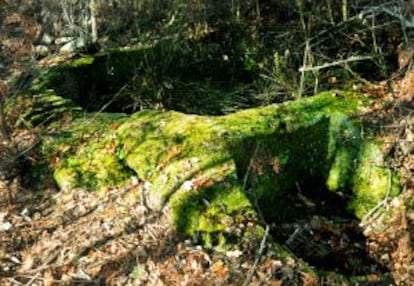 Lagar de Ponteareas, excavado a gran profundidad en la roca madre para dotarlo de paredes, imprescindibles para obtener vino tinto.