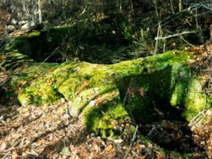 Lagar de Ponteareas, excavado a gran profundidad en la roca madre para dotarlo de paredes, imprescindibles para obtener vino tinto.