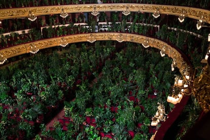 Les plantes espectadores del Gran Teatre del Liceu.