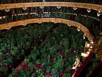 Les plantes espectadores del Gran Teatre del Liceu.