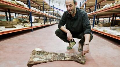 Francisco Ortega con una ulna (el equivalente en mamíferos es el cúbito) de un saurópodo titanosaurio en la nave de Cuenca.