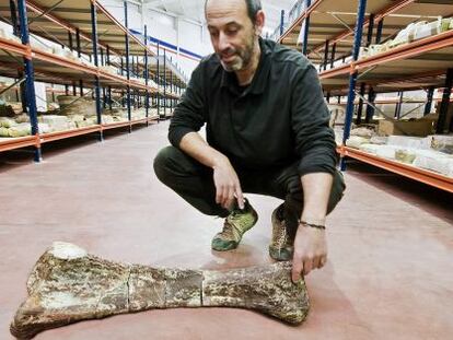 Francisco Ortega con una ulna (el equivalente en mamíferos es el cúbito) de un saurópodo titanosaurio en la nave de Cuenca.