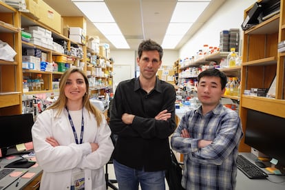 Angela Cesaro, César de la Fuente (centro) y Fangping Wan en los laboratorios de la Universidad de Pensilvania