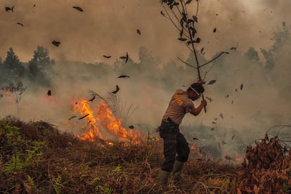 Según la ONU, la frecuencia y magnitud de los incendios forestales, algo que antes se producía de forma estacional, están aumentando debido al cambio climático con efectos devastadores que tienen como consecuencia la pérdida de vidas, propiedades, recursos para la subsistencia y biodiversidad. En la imagen, un policía trata de combatir un fuego en Riau, Indonesia, el pasado 4 de octubre.