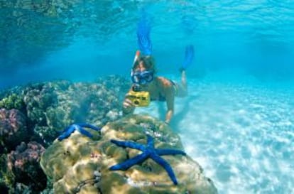 Snorkel en Gizo, una de las Islas Salomón, al noreste de Australia.