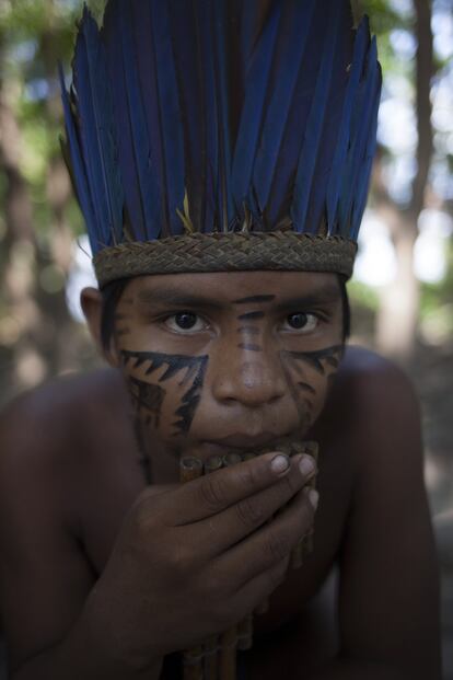 En esta región de la Amazonía, debido a su proximidad a la gran urbe de Manaus, la deforestación come terreno a pasos agigantados. Según datos del Instituto Nacional de Pesquisas Espaciais (INPE) para el año 2017 se registraron casi 7000 kilómetros cuadrados de bosque talado. El peligro hoy son las grandes plantaciones de soja.