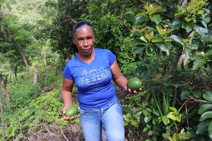 Isabel Murillo, de 51 años, tiene una finca con aguacates en la comunidad de La Albardía (Yoro, Honduras).