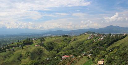 Paisaje cafetero en Colombia.