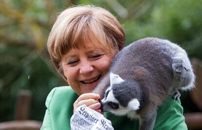 La canciller alemana, Angela Merkel con un lemur durante su visita al parque de aves de Marlow, Alemania.