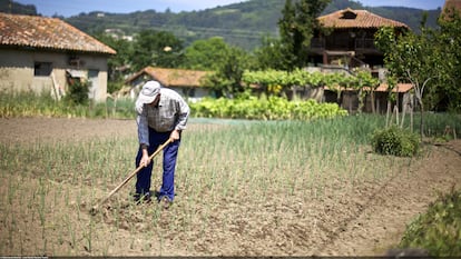 José Andrés: “El producto local es la clave de la alimentación para el futuro del mundo”