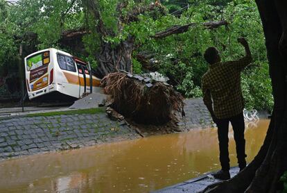 Um ônibus foi atingido pela queda de uma árvore no Leblon, zona sul da cidade