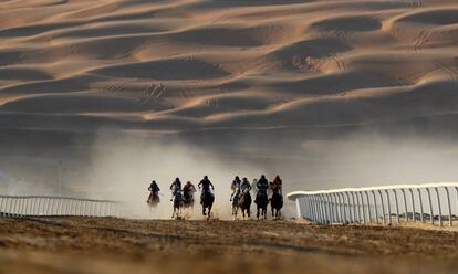 Caballos con sus respectivos jinetes galopan durante el Festival de los deportes, en Liwa (Emiratos Árabes Unidos).