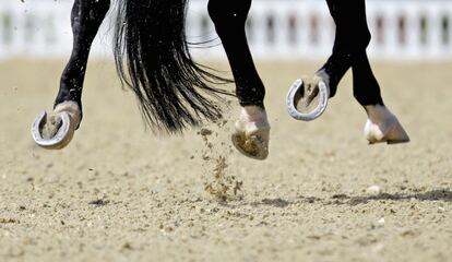 Las herraduras de 'Painted Black', el caballo que monta el español Morgan Barbancon Mestres en la competición de hípica.